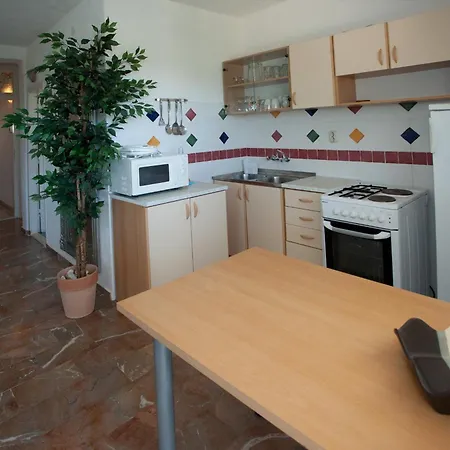 Wonderful Visinisce With Terrace And Sea Views